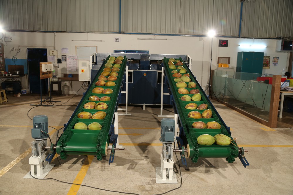 Coconut Dehusking Machine Manufacturers in Coimbatore