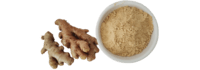 Dehydrated Ginger Powder