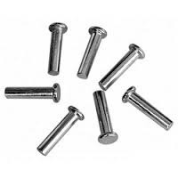 Stainless Steel Rivets