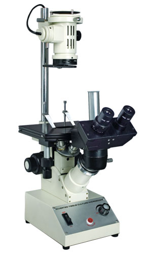 Inverted Tissue Culture Microscope 