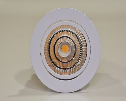LED Spot Light - 12 W