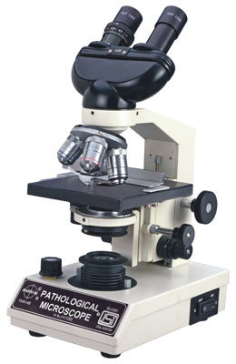 Compound Microscope 