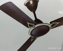 Killer Ceiling Fan 