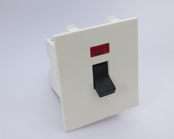 M- Platinum 32A DP Main Switch with indicator