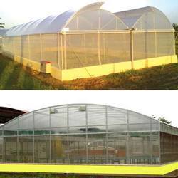 UV Stabilized Films