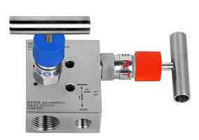 Manifolds valves