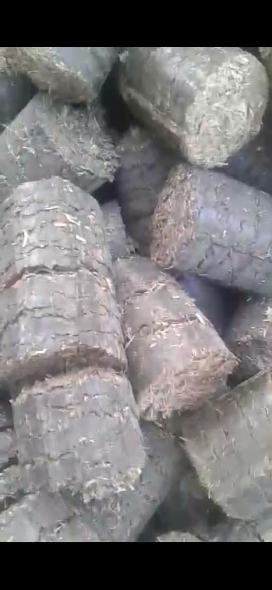 Briquettes 