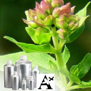 ANCIENT HEALER 100% PURE OREGANO OIL