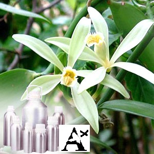 ANCIENT HEALER 100% PURE VANILLA OIL