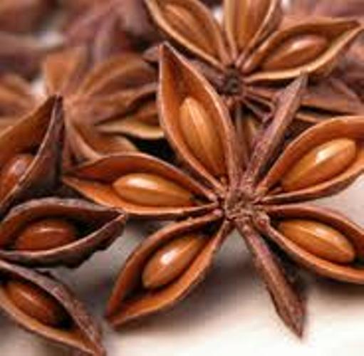 ANCIENT HEALER 100% PURE ANISE STAR OIL