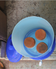Natural Terafil Water Purifier