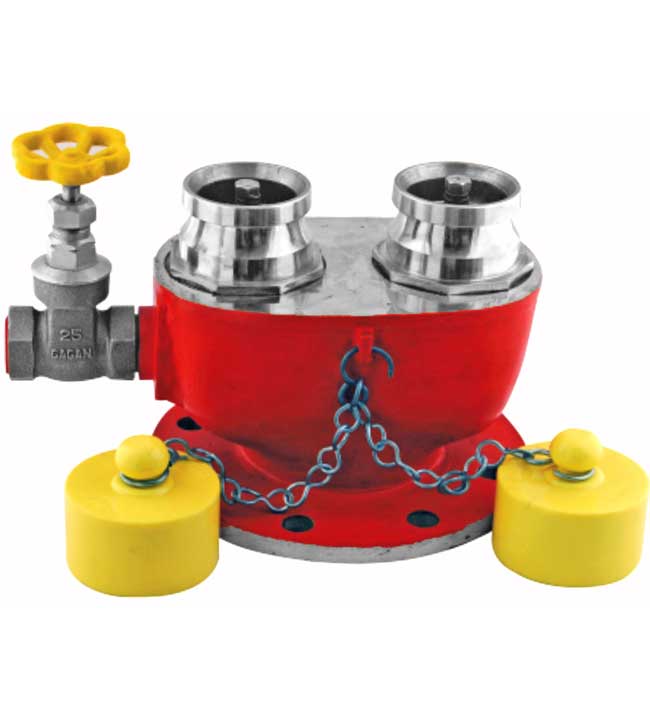 CI 100mm 2 Way Fire Brigade Inlet Valve with SS NRV and PVC/ Rubber  Female Blank Cap & Chain