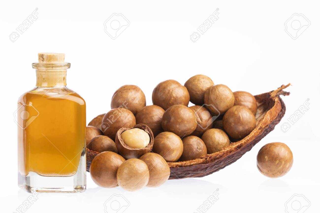 ANCIENT HEALER 100% NATURAL & PURE MACADAMIA NUT CARRIER OIL