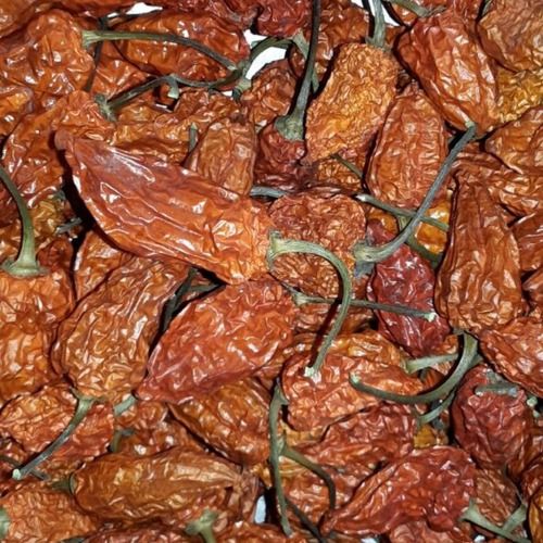 Bhut Jolokia (Ghost Pepper) Dried /Powder 