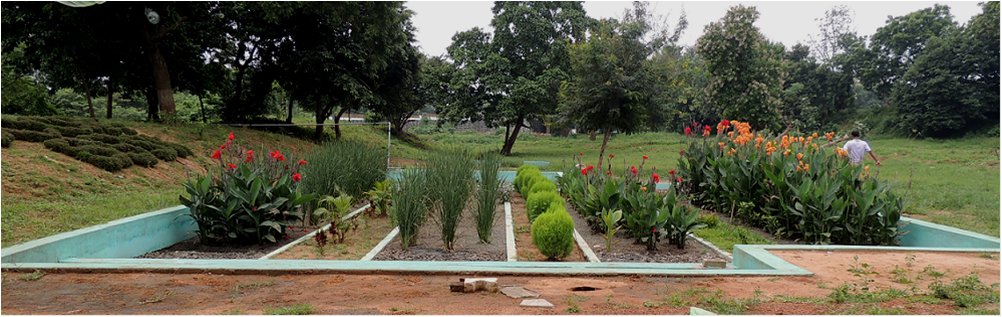 constructed wetland based sewage treatment plant 