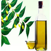 ANCIENT HEALER 100% NATURAL & PURE NEEM CARRIER OIL (PHARMA) 