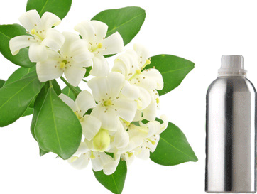 ANCIENT HEALER 100% NATURAL & PURE JASMINE ATTAR