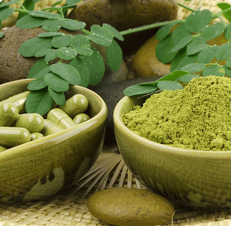 Moringa Oleifera (Organic)