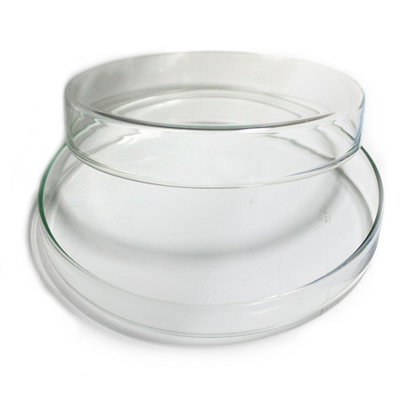Petri Dishes 