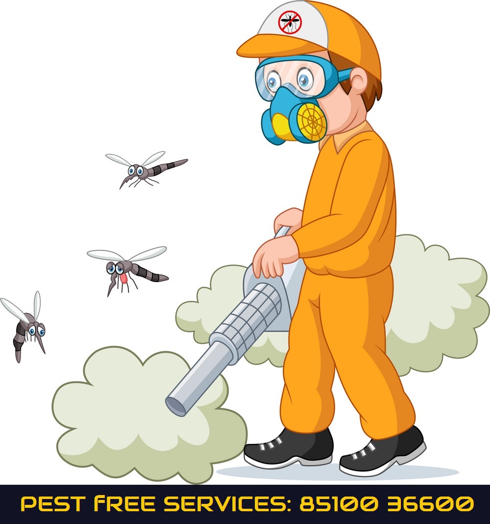 Disinfectant Services