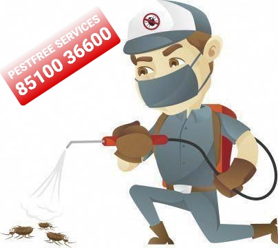 Commercial Pest Control