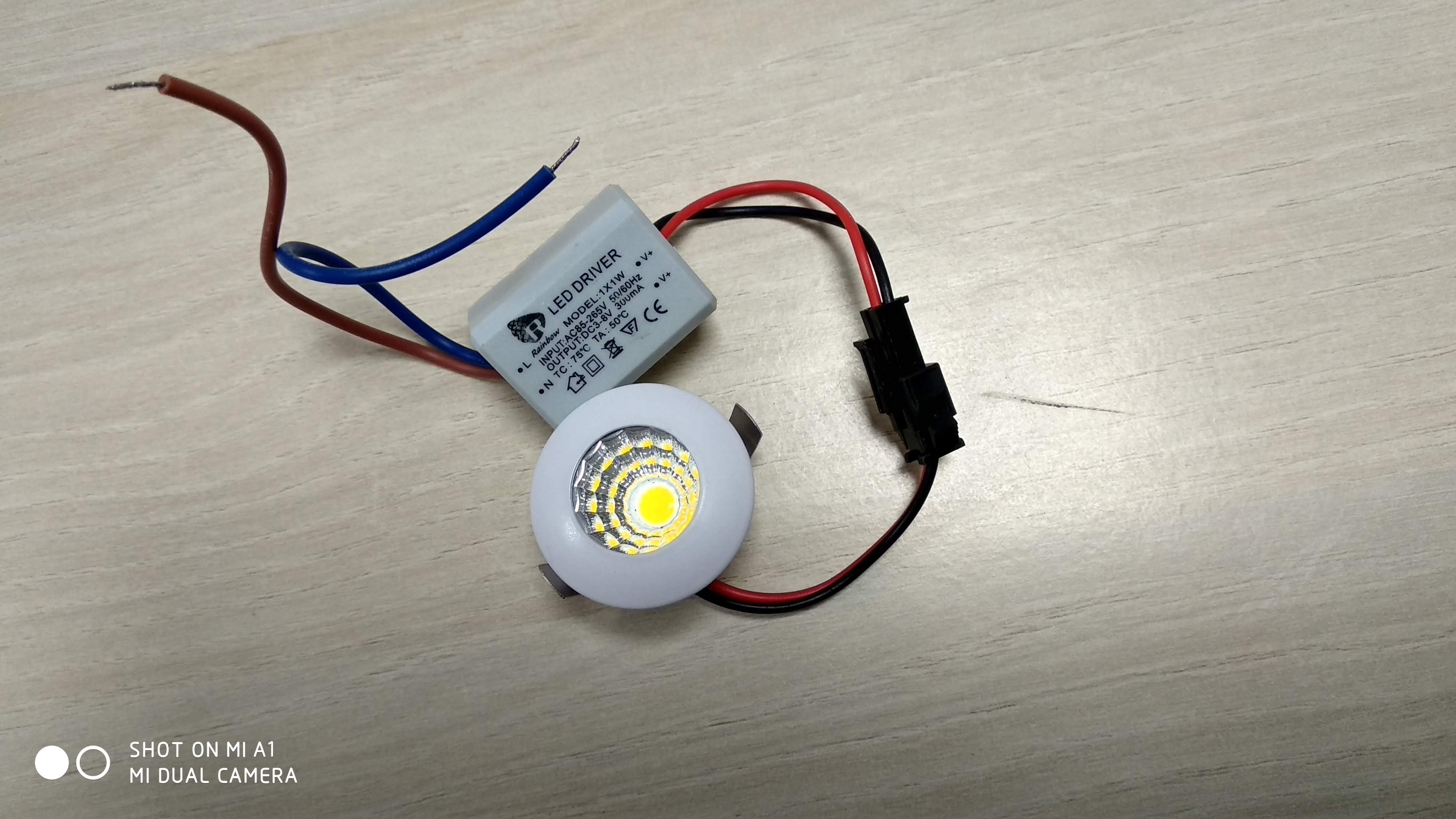 LED Spot Light - 1W 