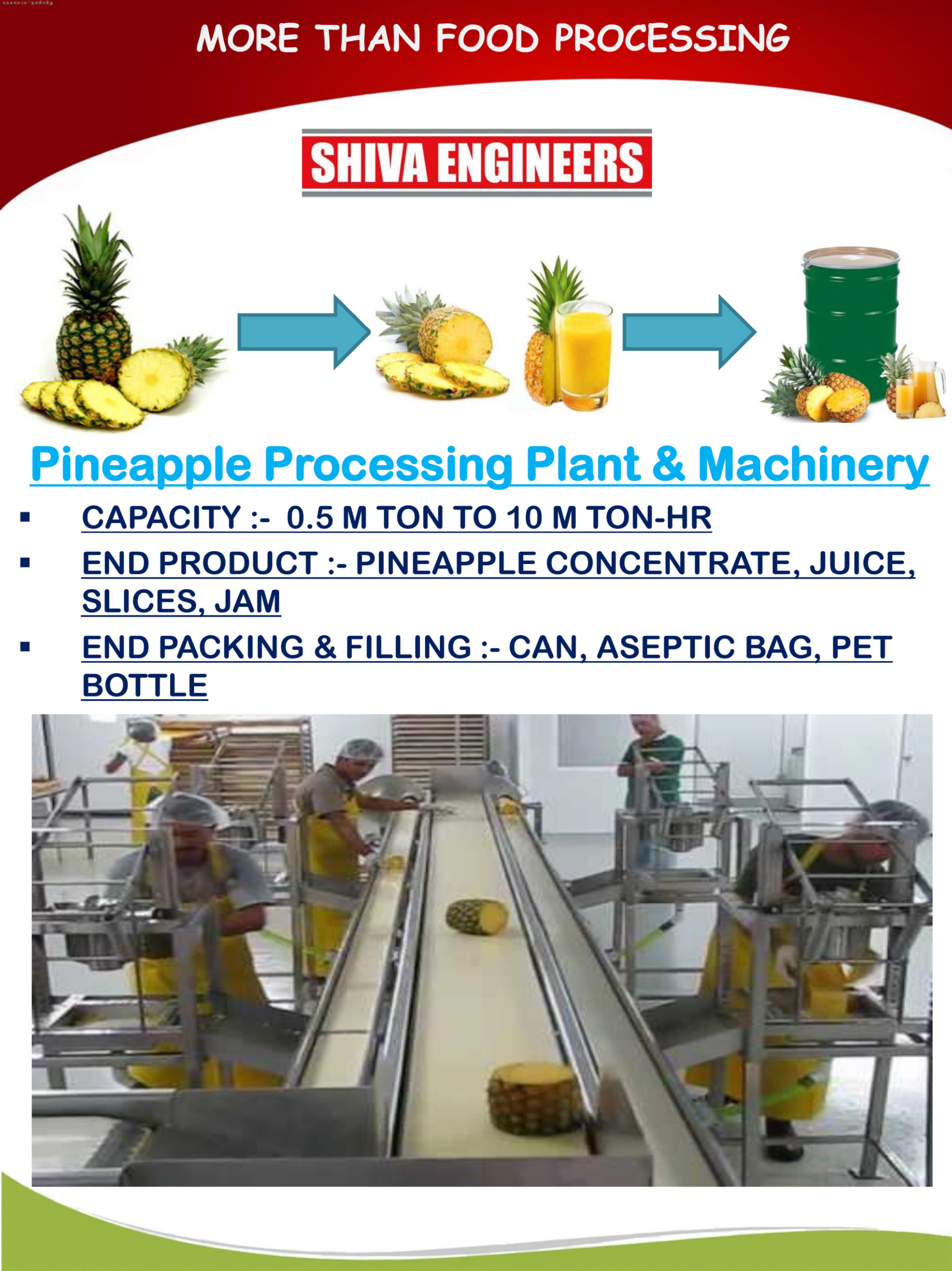 PINEAPPLE PROCESSING PLANT & MACHINERY