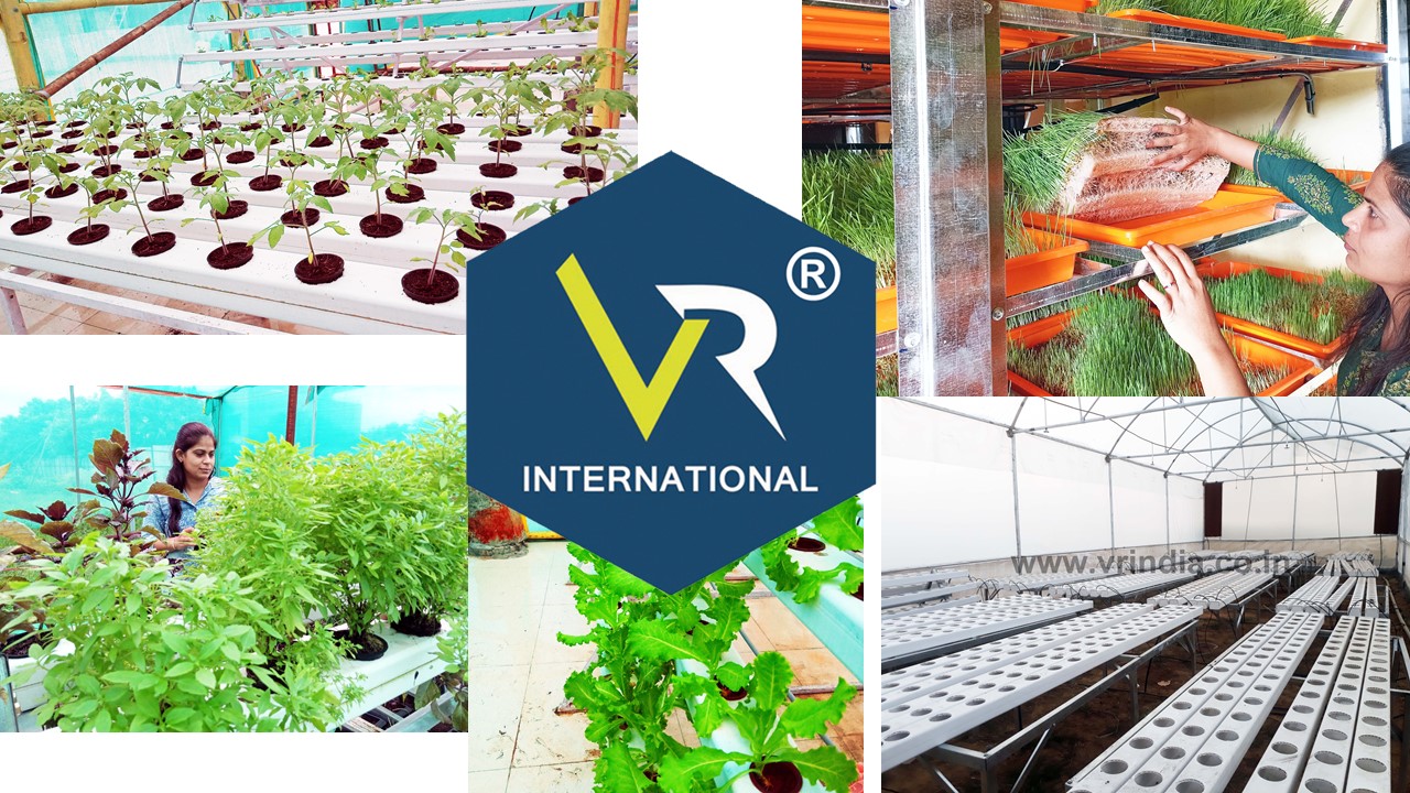 Hydroponics Farming - NFT, DWC, Fodder system
