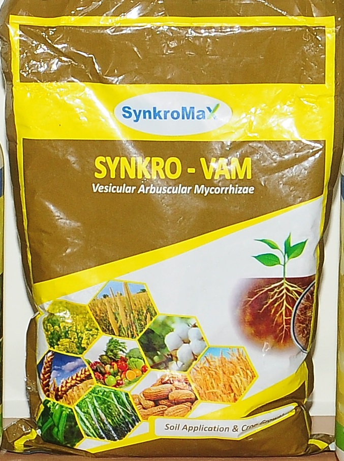 SYNKRO VAM