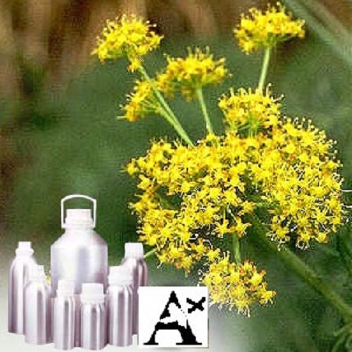 Asafoetida Oleoresin Oil Soluble