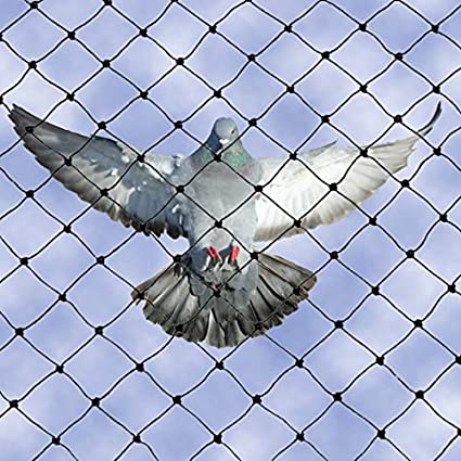 Bird Netting Service Provide