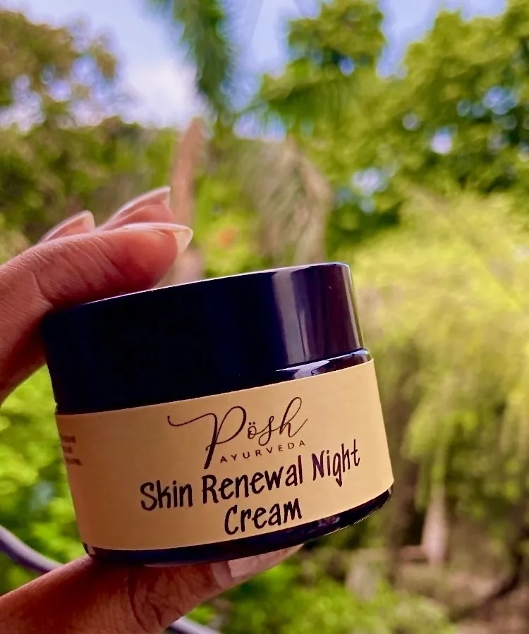 Skin Renewal Night Cream