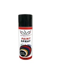 AEROSPRINT PAINT SPRAY 