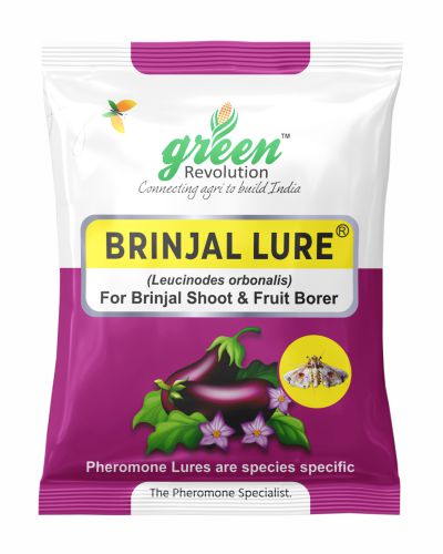 Binjal Lure For Brinjal Shoot and fruit borer 