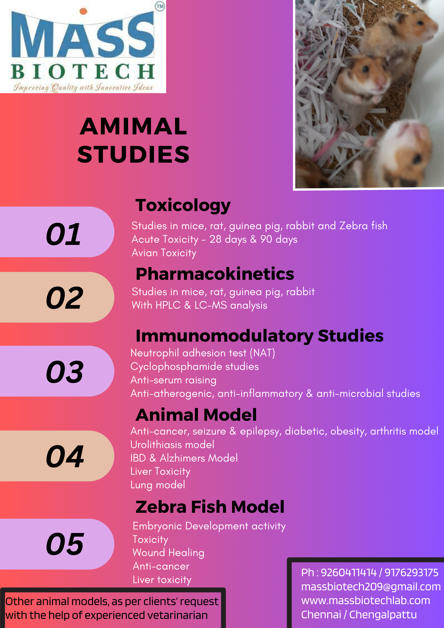 Invivo Experiments