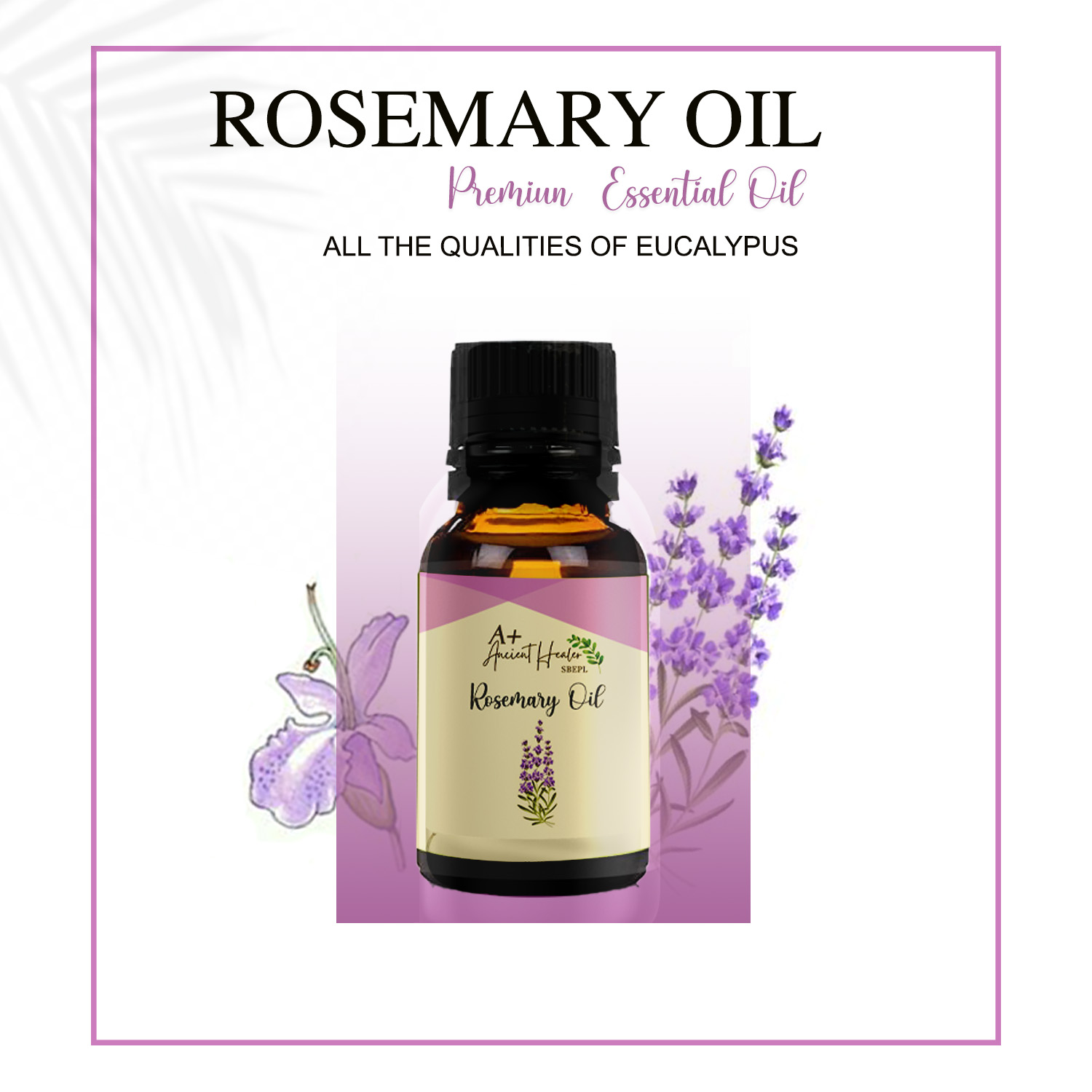 Rosemary Oleoresin 