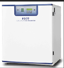 CO2 INCUBATOR