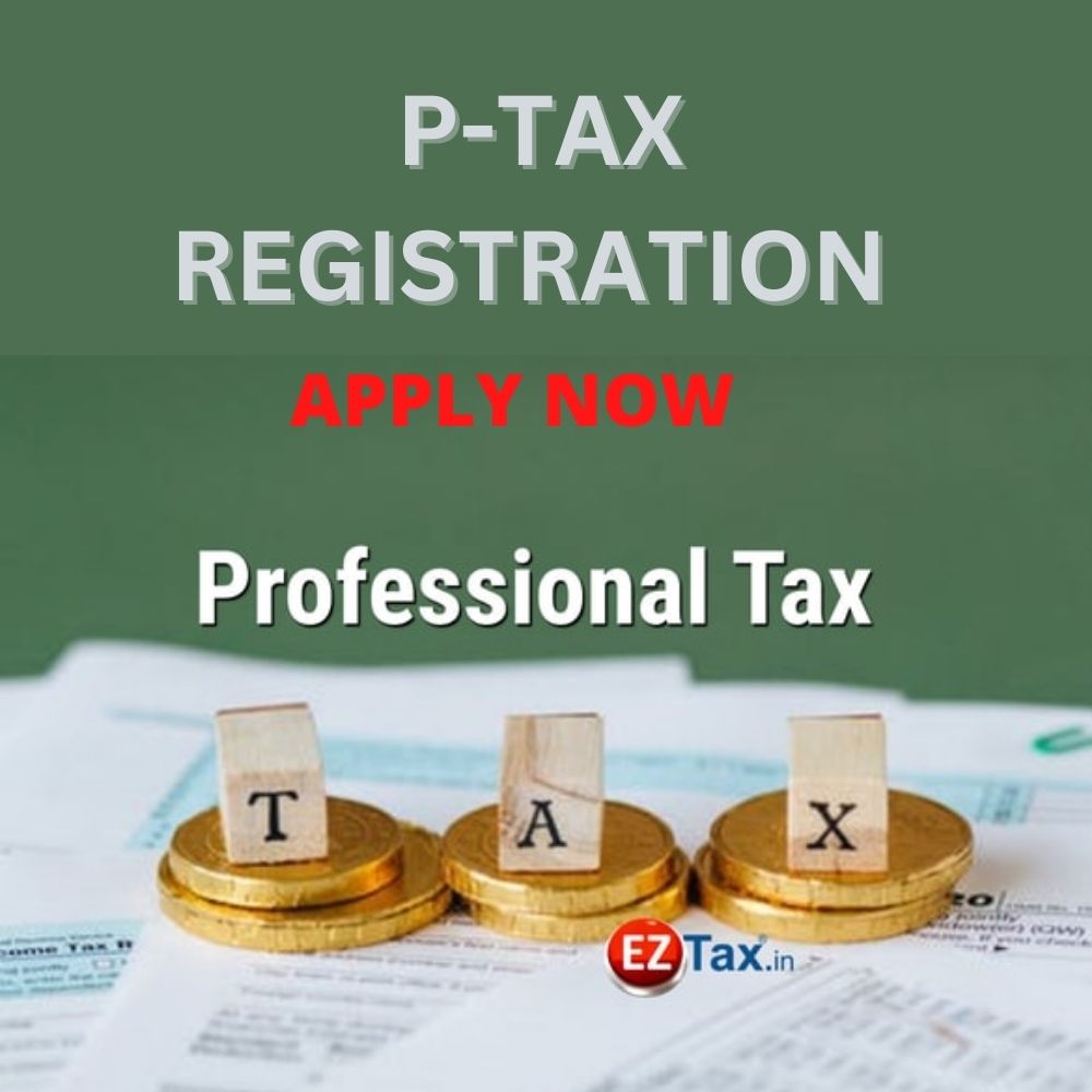 Professional Tax Services