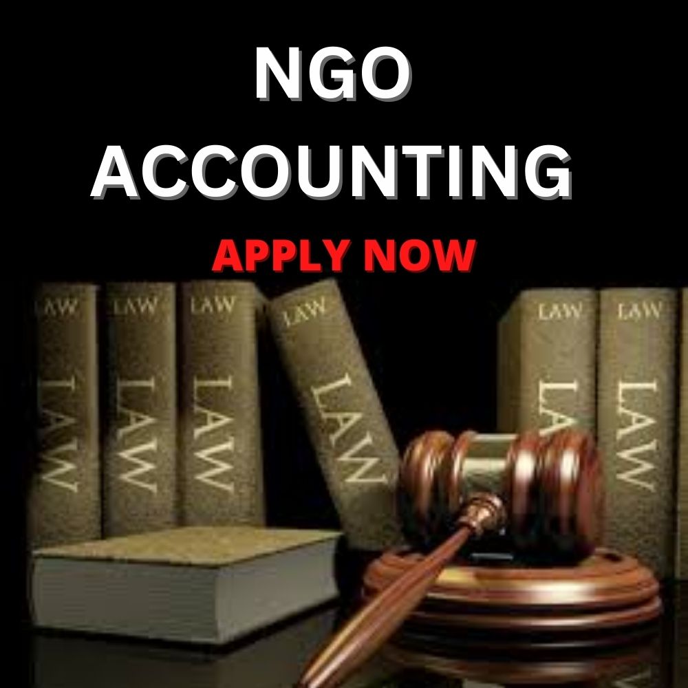 NGO Accounting Services