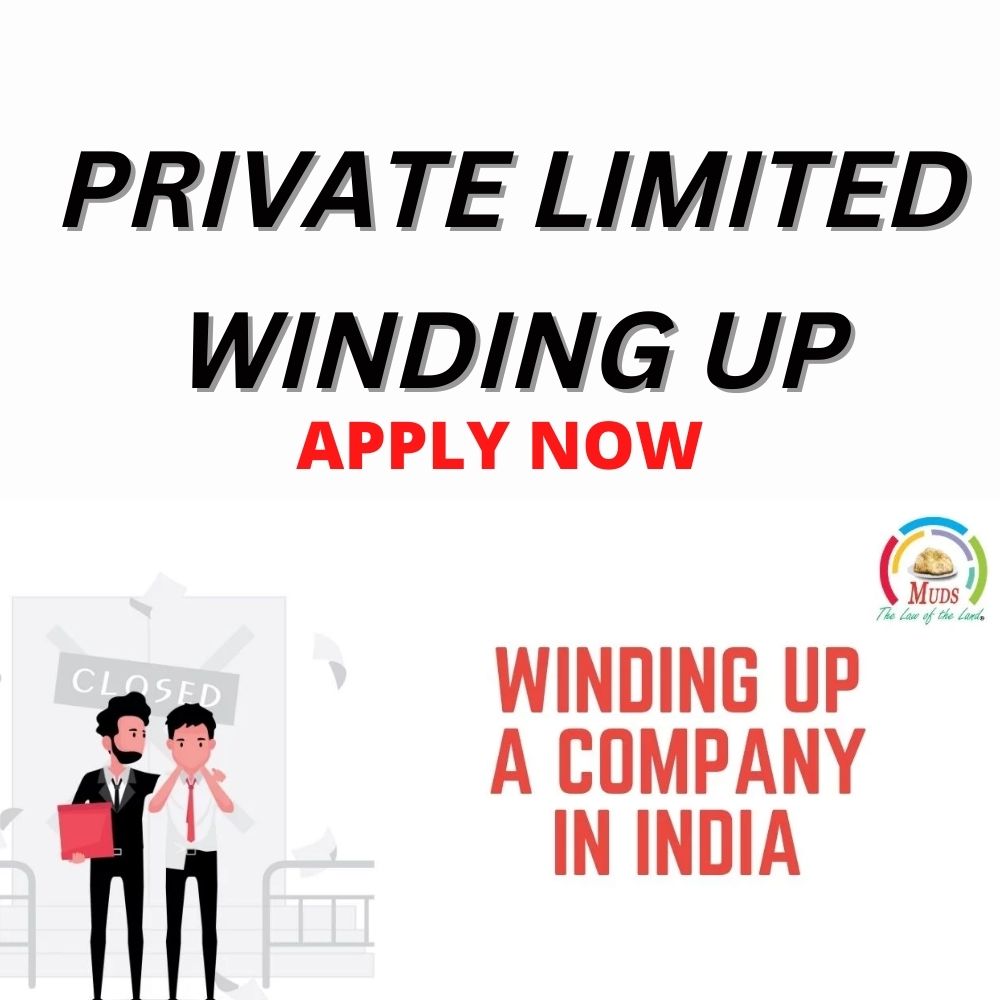 Pvt. Ltd Winding Up Service