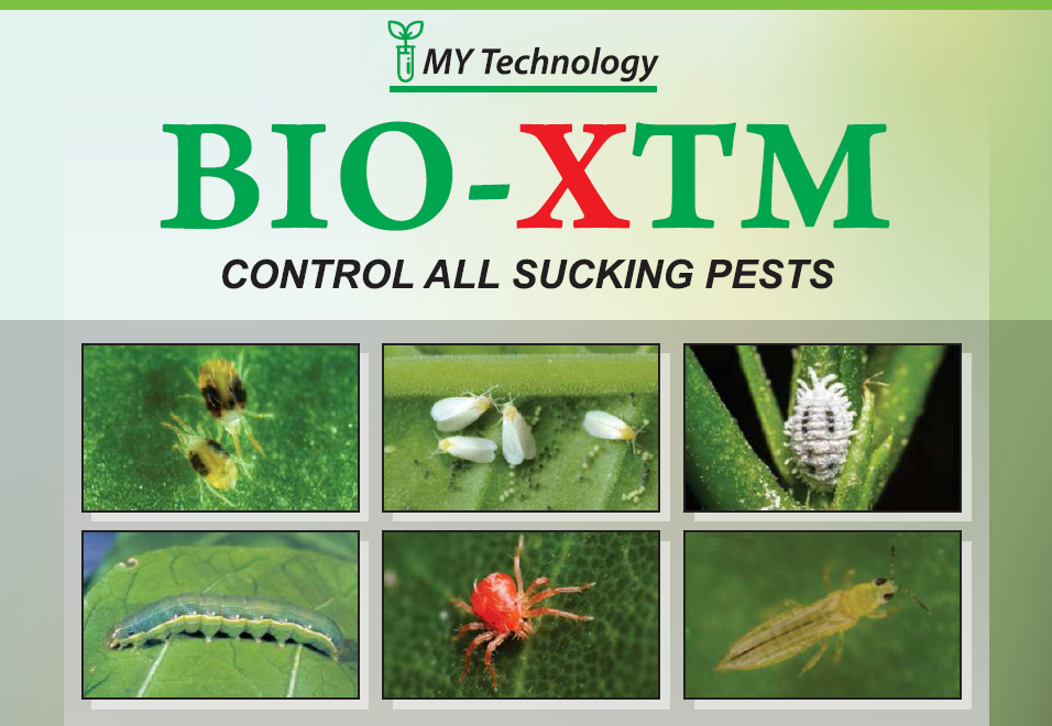 BioXTM