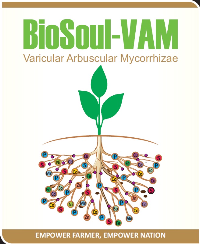 Biosoul-VAM