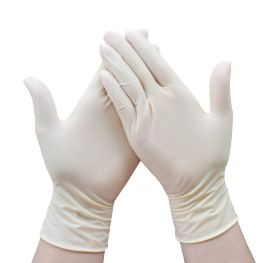 Single Use Latex Surgical Gloves
