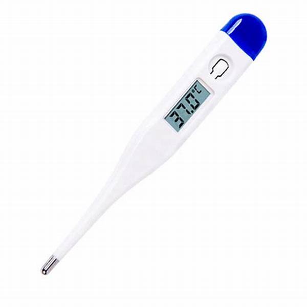 Digital thermometer model SWDT100