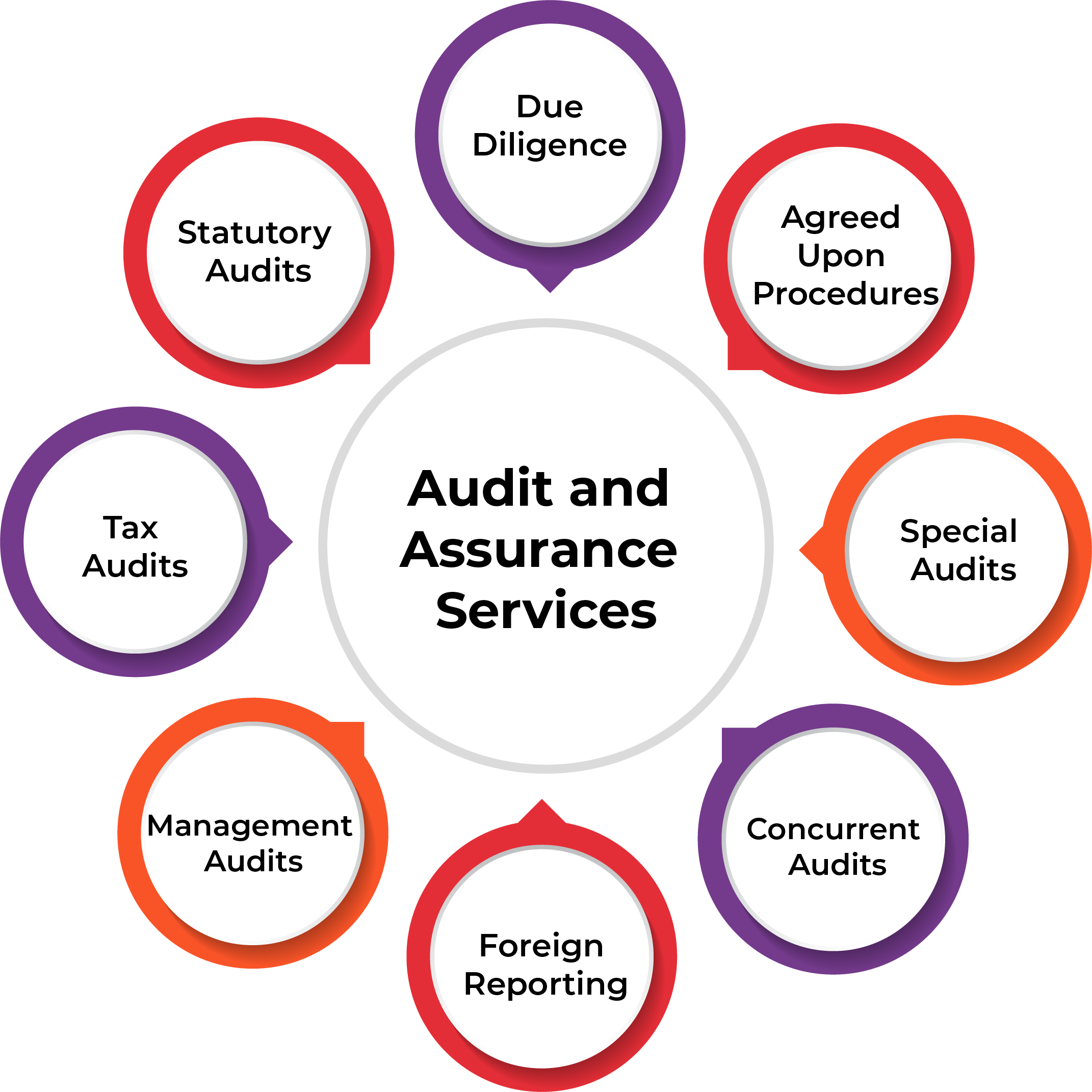 Audit services