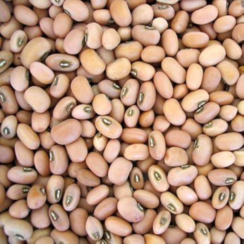 CowPea - White