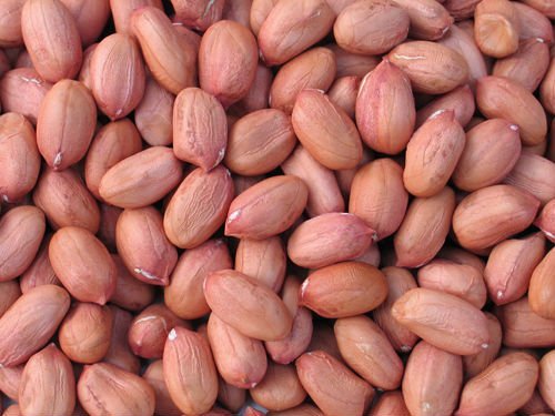 GroundNut - Raw