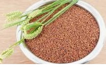 Organic Ragi whole