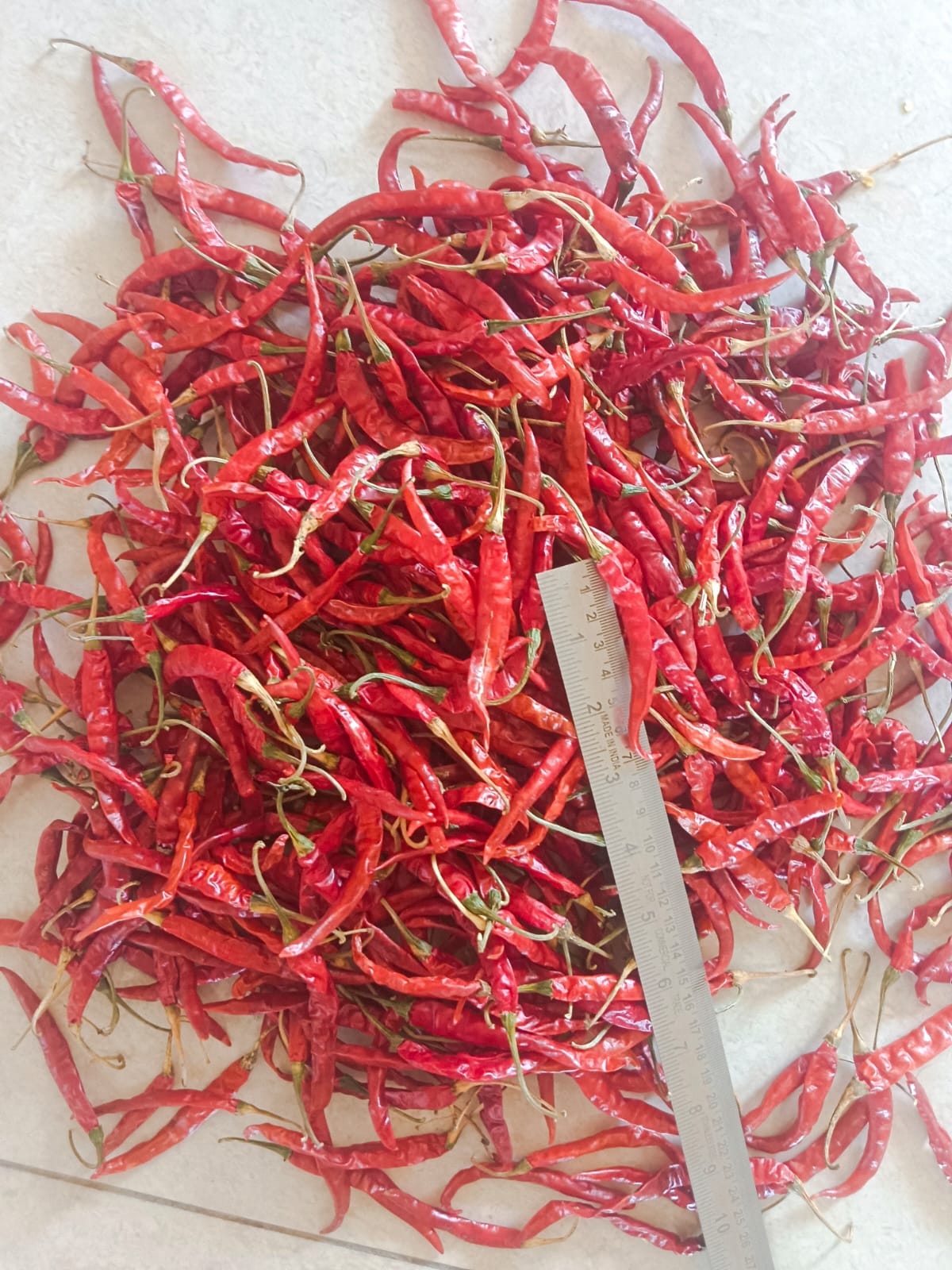 Teja Chilli