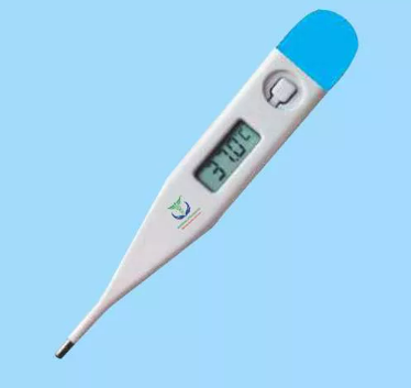  Digital Thermometer 